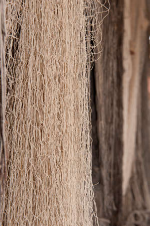Old fishing nets hanging to dryの写真素材