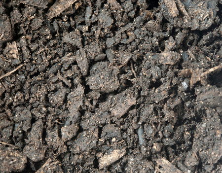 Macro or close up of potting soil