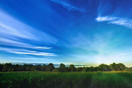 Rustic summer landscape.Green field and blue sky with light clouds of sun.の写真素材
