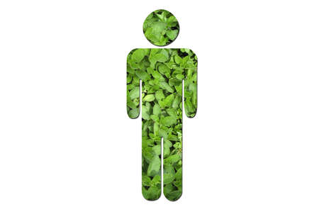 A man made up of green leaves to symbolize environmental issues.の写真素材