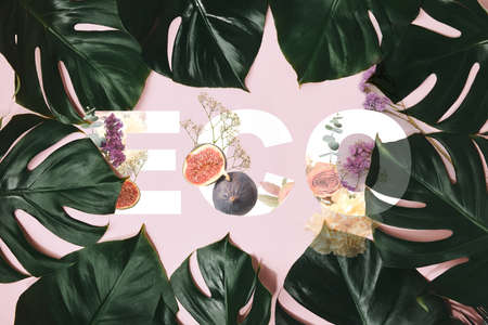 monstera leaves frame pink backgroundの写真素材