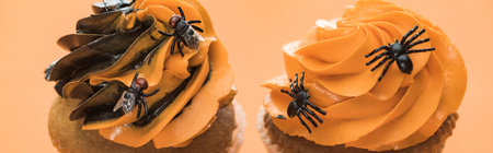 tasty halloween cupcakes spiders orangeの写真素材