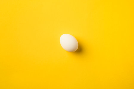 chicken eggの写真素材