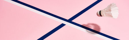 badminton shuttlecock pink surface blueの写真素材