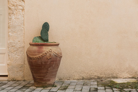 green cactus spikes flowerpot wall
