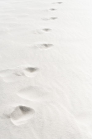 beach traces clean white texturedの写真素材