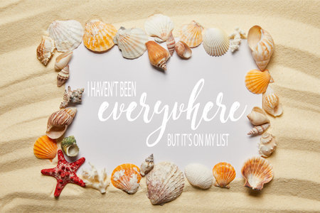 frame seashells placard have been