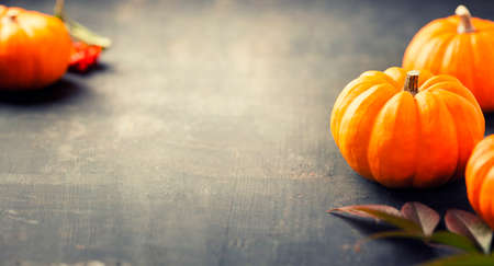 pumpkins on a wooden background with copyspaceの写真素材