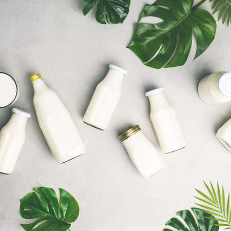 Various bottles of milk and tropical leavesの写真素材
