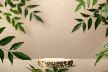 Wood slice podium on beige background for cosmetic product mockupの写真素材