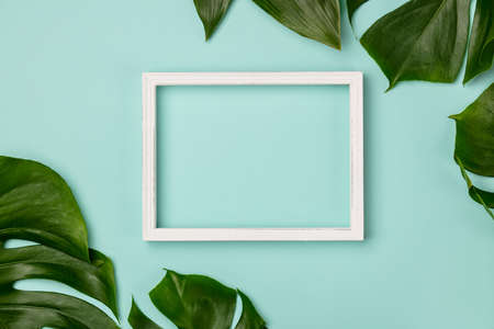 Creative flat lay with tropical plant and white frame for your textの写真素材