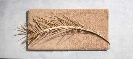 Dried leaf of palm and towel on concrete backgroundの写真素材
