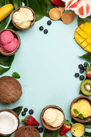 Tropical fruits and plants with variety of ice cream in coconut shellsの写真素材