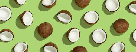 Pattern with ripe coconuts on green background. Top Viewの写真素材