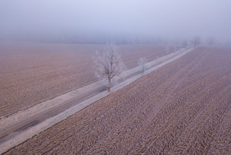 Windy winter road in snow covered fieldsの写真素材