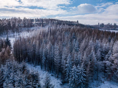Aerial top down view of beautiful winter forest treetops.の写真素材