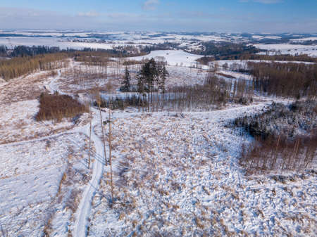 Aerial view of spruce tree in deforested landscapeの写真素材