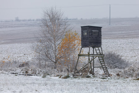 Wooden hunting tower in forestの写真素材