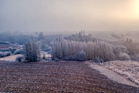 Winter foggy and misty sunrise landscapeの写真素材