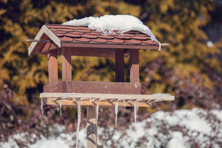birdhouse in winter gardenの写真素材