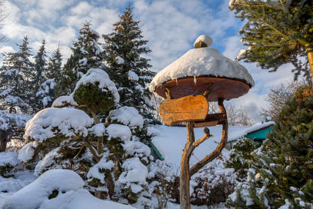beautiful signpost in winter gardenの写真素材
