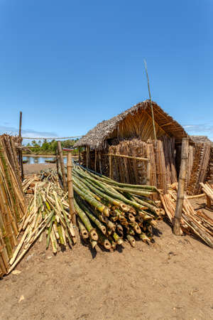 firewood on street marketplace, Maroantsetra Madagascarの写真素材