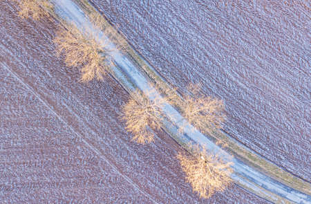 Windy winter road in snow covered fieldsの写真素材