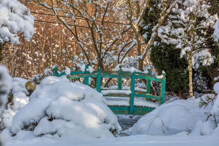 beautiful winter garden covered by snowの写真素材