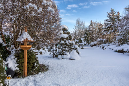 beautiful winter garden covered by snowの写真素材