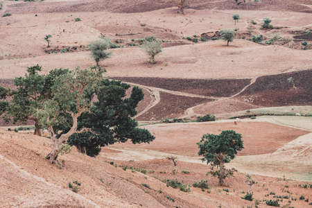 landscape with field near Gondar, Ethiopiaの写真素材
