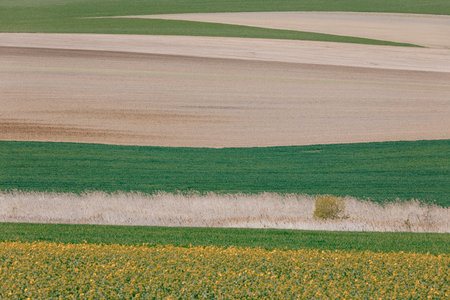Beautiful summer rural landscape lines