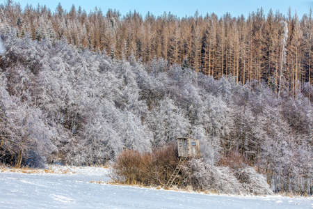 Winter hunting tower covered with snowの写真素材
