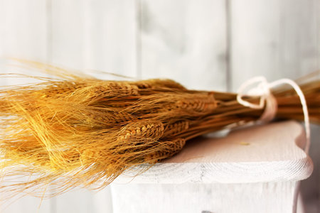 Wheatの写真素材