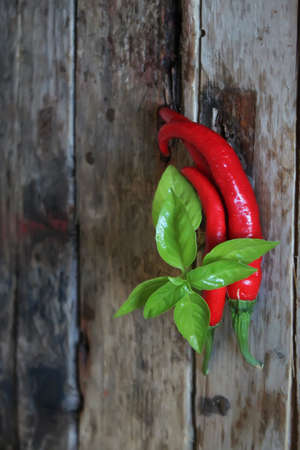 Chili pepper and basilの写真素材