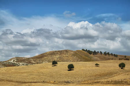 Rural landscapeの写真素材