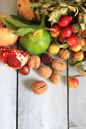 Autumn fruitsの写真素材