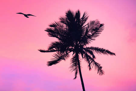 Sunsetの写真素材