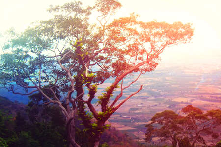 Tropical landscapeの写真素材