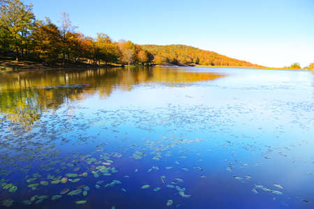 Lake landscapeの写真素材