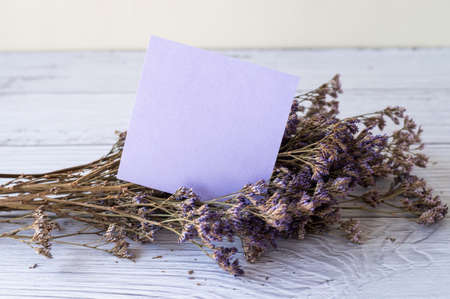 Blank Piece Of Sticky Note Placed On Top Of A Table Beside A Plant. Empty Sheet Of Paper With Herbs Above Old Wooden Desk.の写真素材