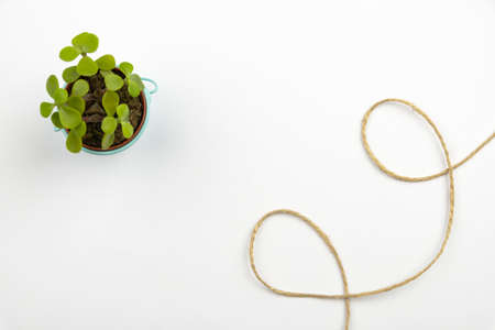 Multiple Assorted Collection Office Stationery Photo With Pens Pencils Notepads Notebook Ruler Stapler Scissors Clippers Paper Clips Holders Clipboard Placed Over Tableの写真素材