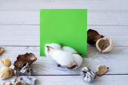 Blank Piece Of Sticky Note Placed On Top Of Table With Cotton Plant.の写真素材