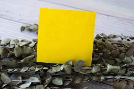 Blank Piece Of Sticky Note Placed On Top Of A Table Beside A Plant. Empty Sheet Of Paper With Herbs Above Old Wooden Desk.の写真素材