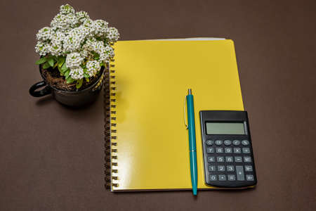 Multiple Assorted Collection Office Stationery Photo With Pens Pencils Notepads Notebook Ruler Stapler Scissors Clippers Paper Clips Holders Clipboard Placed Over Tableの写真素材