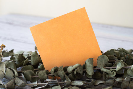 Blank Piece Of Sticky Note Placed On Top Of A Table Beside A Plant. Empty Sheet Of Paper With Herbs Above Old Wooden Desk.の写真素材