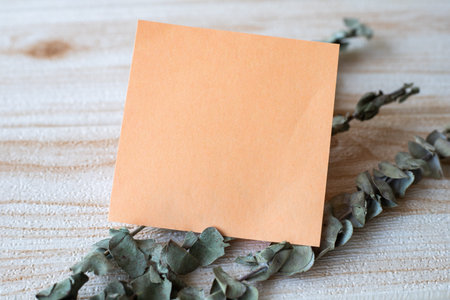 Piece Of Blank Square Note Surrounded By Laundry Clips Showing New Meaning. Empty Sticky Paper...