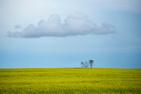 Ominous Storm Clouds Prairie Summer Rural Sceneの写真素材