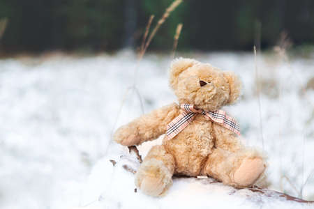 Teddy bear on a snow covered log in winterの写真素材