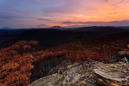 Sunset over charred landscape after bush fires in Australiaの写真素材
