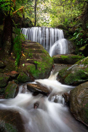 Cascading waterfalls through lush rainforestの写真素材